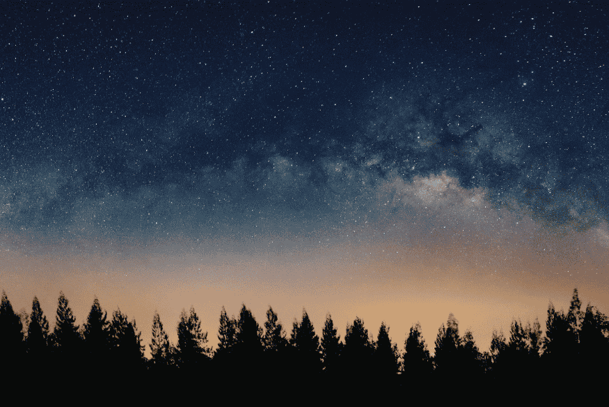 Via Láctea sobre floresta em céu escuro, ambiente onde galáxias anãs próximas podem ser estudadas no contexto do Grupo Local