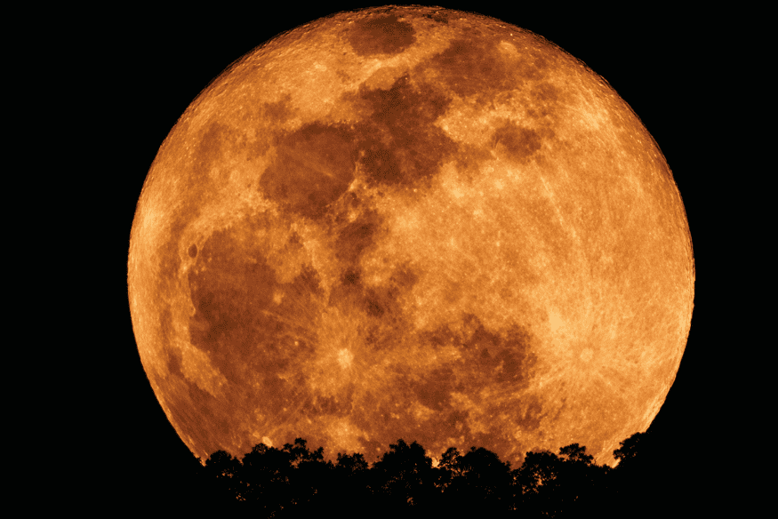 Lua cheia com coloração alaranjada acima da linha das árvores, destacando a aparência quente que a Lua pode apresentar em certas condições atmosféricas