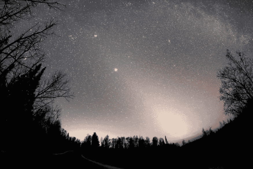 Brilho difuso do Gegenschein no céu noturno acima de árvores em área escura de observação astronômica