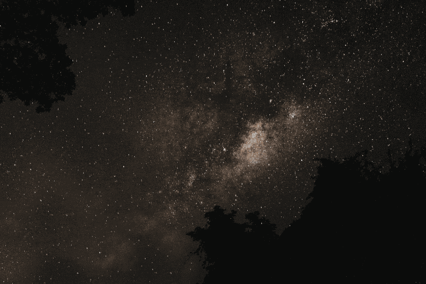 Via Láctea vista entre silhuetas de árvores, mostrando uma foto de céu profundo que pode ser realçada com ajustes cuidadosos no pós-processamento
